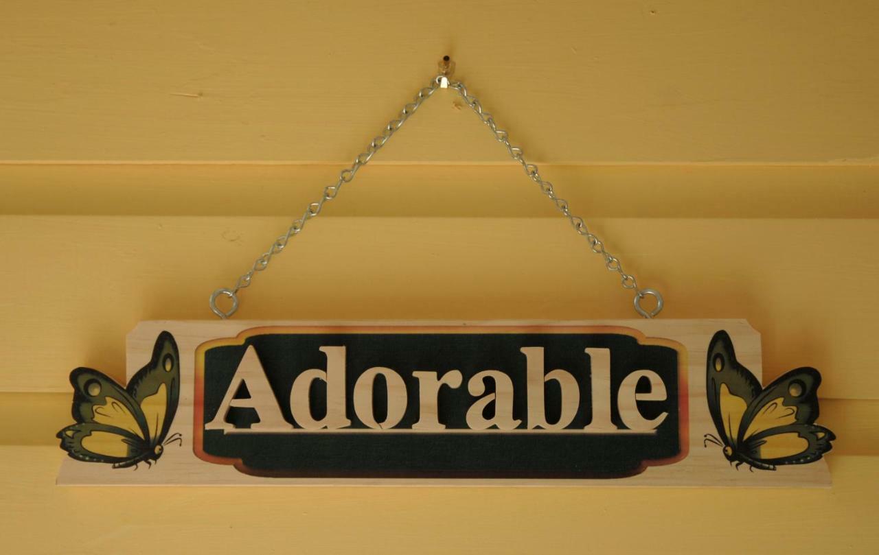 Adorable Historic Downtown Apartment セント・オーガスティン エクステリア 写真